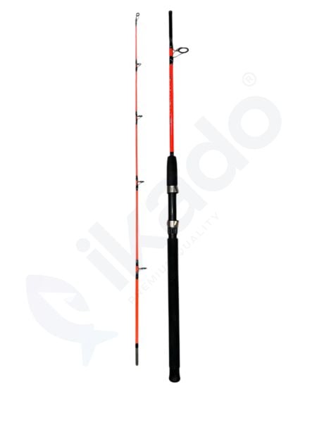 IKADO PANTHEON TEKNE KAMIŞI